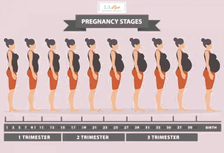 First Trimester (Weeks 1–12): Early Changes You Might Not Notice New Malden